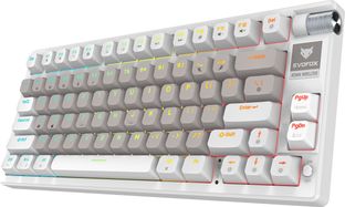 EVOFOX Ronin TKL RGB Mechanical Wireless Tenkeyless Gaming Keyboard Compatible with Desktop, Laptop, Mac with Compact Tenkeyless Layout, Backlit LED Illumination(White)