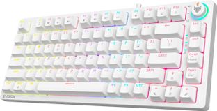 EVOFOX Katana X2 TKL Mechanical Wired USB Tenkeyless Gaming Keyboard Compatible with Desktop, Laptop, Mac with Compact Tenkeyless Layout(White)