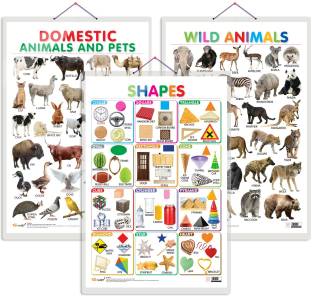Set of 3 Domestic Animals and Pets, Wild Animals and Shapes Early Learning  Educational Charts for