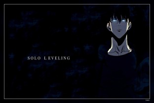 The Solo Leveling Anime Might Not Follow The Original Manhwa Series