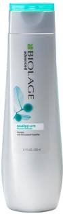 BIOLAGE Scalpsync Aminexil Hair treatment - Price in India, Buy BIOLAGE  Scalpsync Aminexil Hair treatment Online In India, Reviews, Ratings &  Features 