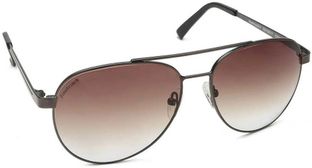 Fastrack Aviator Sunglasses(For Men & Women, Brown)