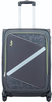 skybags trolley bags flipkart