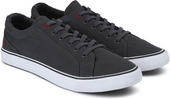 ducati casual shoes