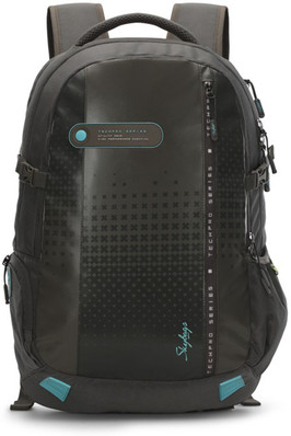 skybags laptop bags flipkart