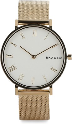 skagen denmark watch price