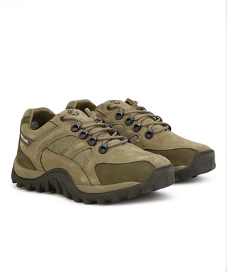 woodland shoes polish flipkart