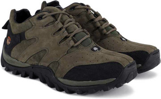 woodland shoes polish flipkart