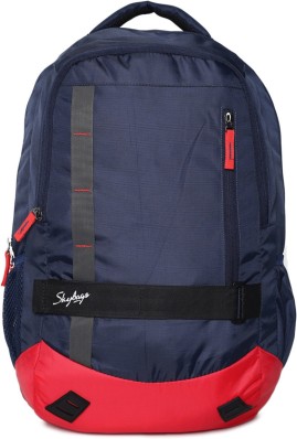 skybags grey colour