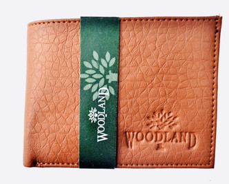 woodland bags flipkart