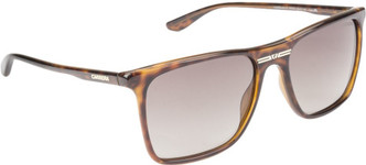 carrera sunglasses in bangalore