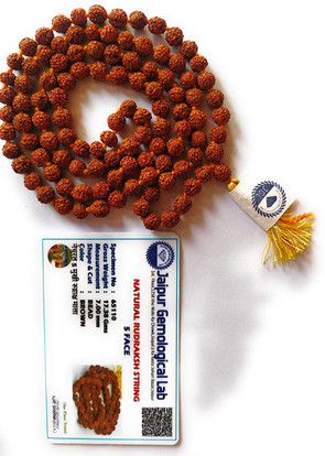 5 Mukhi 8 mm Real Holy Rudraksha Jaap Mala With 108 Beads And One Guru Bead AU 