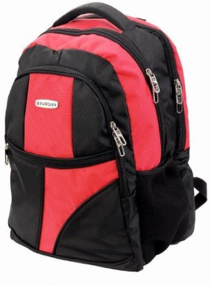 usha eurolex luggage price