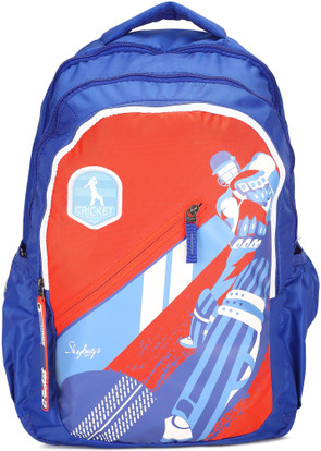 flipkart bags skybags