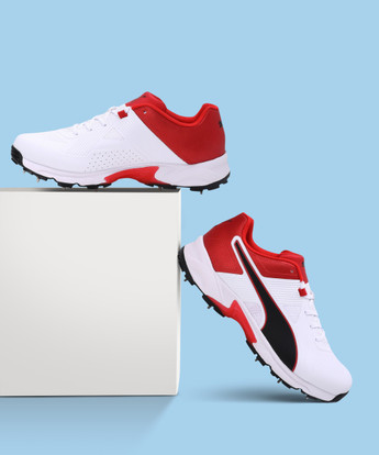 PUMA Spike 19.1 Cricket Shoes For Men 