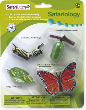 safari ltd life cycle of a monarch butterfly