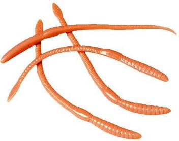 Us Toys Worm Stickies Worm Stickies Buy Worms Toys In India Shop For Us Toys Products In India Flipkart Com