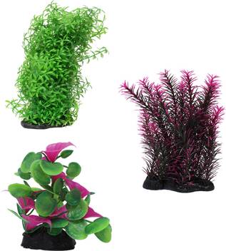 Jainsons Pet Products Combo Aquarium Decoration Items Laterite