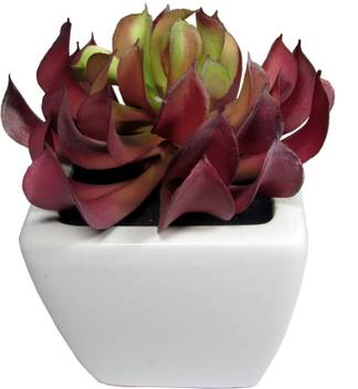 Fourwalls Artificial Succulent Plant With Ceramic Vase 16 Cm Tall