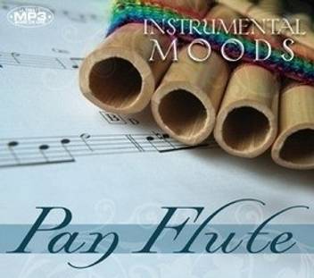 Instrumental Moods Pan Flute Cover Version Music Audio Cd Price In India Buy Instrumental Moods Pan Flute Cover Version Music Audio Cd Online At Flipkart Com