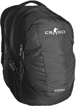 school bags flipkart wildcraft