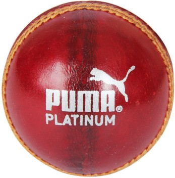 puma cricket ball