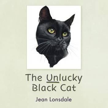 The Unlucky Black Cat