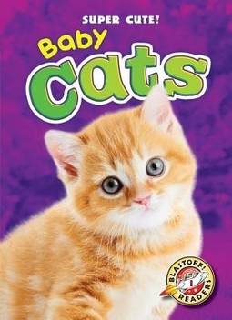Baby Cats Buy Baby Cats By Olson Bethany At Low Price In India