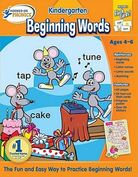 buy hooked on phonics