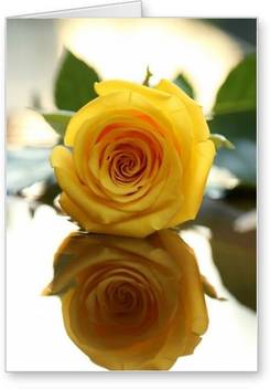 Lolprint Yellow Rose Friendship Day Greeting Card Price In India Buy Lolprint Yellow Rose Friendship Day Greeting Card Online At Flipkart Com