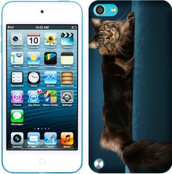 Wow Back Cover For Apple Ipod Touch 5th Generation Wow Flipkart Com