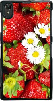 Printmasti Back Cover For Sony Xperia Z1 C6943 Sony Xperia Z1 C6906 Sony Xperia Z1 C6903 Sony Xperia Z1 C6902 L39h Sony Xperia Z1 Sony Xperia Z1 Honami Printmasti Flipkart Com Printmasti Back Cover For Sony Xperia Z1 C6943 Sony Xperia Z1 C6906 Sony Xperia Z1 C6903 Sony Xperia Z1 C6902 L39h Sony Xperia Z1 Sony Xperia Z1 Honami Printmasti Flipkart Com