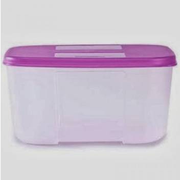 Tupperware Freezermate 700 Ml Plastic Grocery Container Price In India Buy Tupperware Freezermate 700 Ml Plastic Grocery Container Online At Flipkart Com