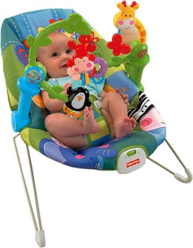 fisher price discover and grow bouncer