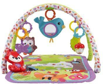 Fisher Price 3 In 1 Musical Activity Gym 3 In 1 Musical Activity