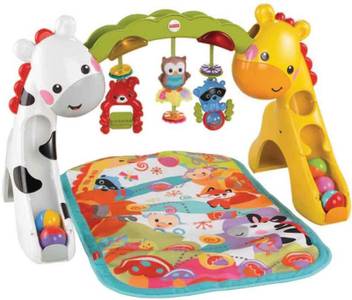Fisher Price Newborn To Toddler Play Gym