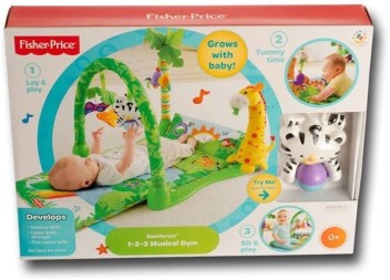 fisher price play gym india