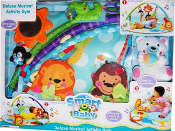 deluxe musical activity gym