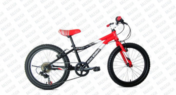 raleigh cycles flipkart