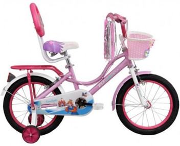 bsa champ cycle 16 inch