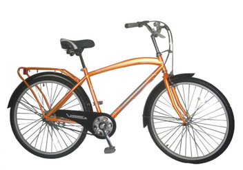 bicycle price flipkart