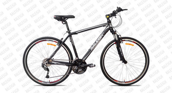 raleigh 21 speed bike