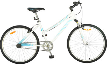 adult cycle price