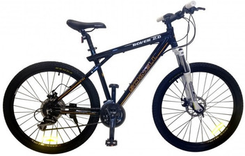 range rover cycle price
