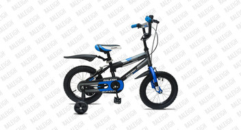 raleigh cycles flipkart