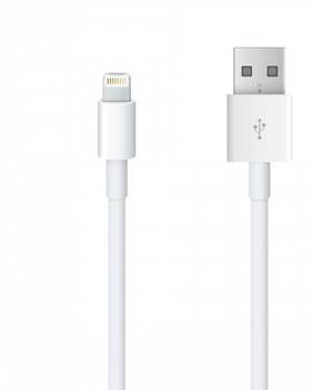 Apple Md818zm A Usb 1m 1 M Lightning Cable Apple Flipkart Com