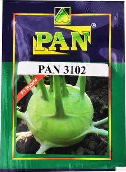 Pan Knol Khol Seeds Seed Price In India Buy Pan Knol Khol Seeds Seed Online At Flipkart Com