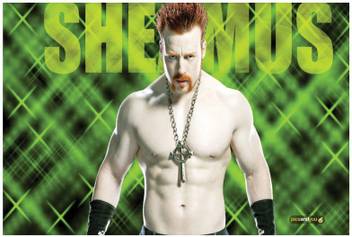 Pics And You Wwe Sheamus 38 Wall Poster 300gsm Art Paper