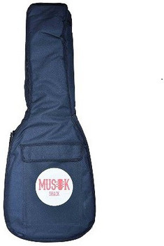 guitar bags flipkart