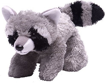 raccoon hugging stuffed animal